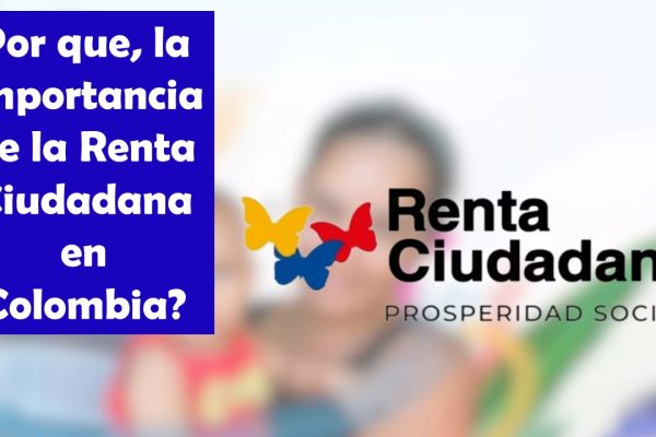 Por que, la Importancia de la Renta Ciudadana en Colombia?